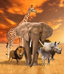 African Safari Panel
